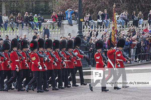 Band of the Coldstream Guards with their Standard  during Changing of the Guard  Buckingham Palace  London  England  United Kingdom  Europe