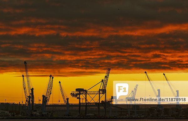 Silhouette von Kränen auf einer Baustelle vor einem dramatischen roten und gelben Himmel bei Sonnenuntergang; South Shields  Tyne and Wear  England'.