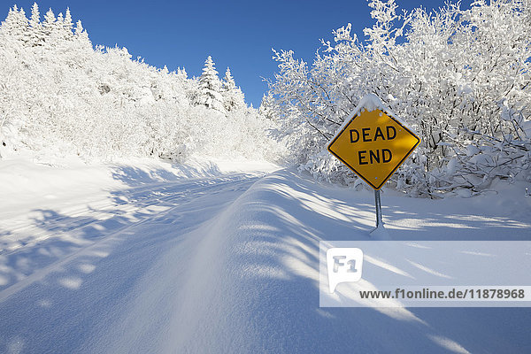 Eine tief verschneite Straße mit Bäumen und einem gelben Schild mit der Aufschrift Sackgasse; Alaska  Vereinigte Staaten von Amerika'.
