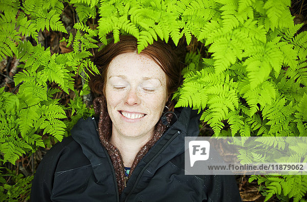 Eine Frau legt ihren Kopf auf den Waldboden zwischen den leuchtend grünen  üppigen Farnen; Alaska  Vereinigte Staaten von Amerika'.