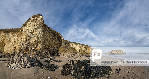 'Landscape of cliffs along the coastline and seaweed and rocks on the beach; South Shields  Tyne and Wear  England'