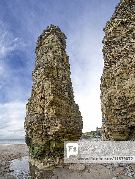 Sea stack called Lots wife; South Shields  Tyne and Wear  England
