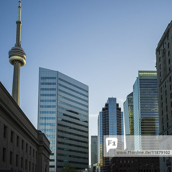 Der CN Tower und der Blick auf zahlreiche Wolkenkratzer mit verschiedenen architektonischen Stilen vor einem blauen Himmel; Toronto  Ontario  Kanada'.
