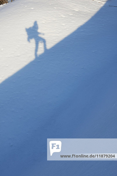 Schatten eines Wanderers  der einen steilen  verschneiten Hang hinaufsteigt; Alaska  Vereinigte Staaten von Amerika'.