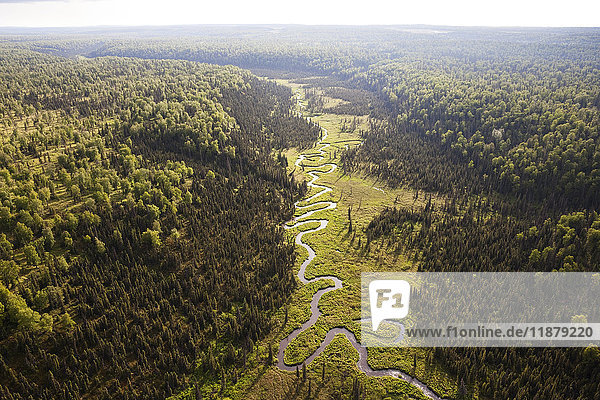 Ein Fluss schlängelt sich durch eine bewaldete Landschaft  Kenai-Halbinsel; Alaska  Vereinigte Staaten von Amerika'.