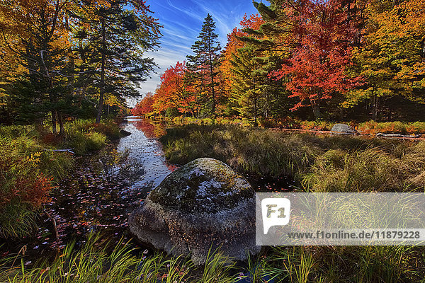 Herbstnachmittag entlang des Westfield River in der Nähe von North Brookfield; Nova Scotia  Kanada