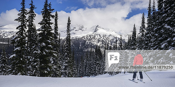 'A female skier poses stands looking at the majestic mountain scenery at a ski resort; Whistler  British Columbia  Canada'