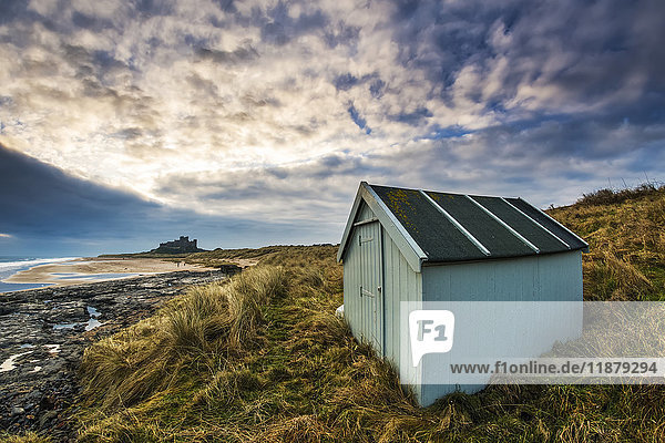 A small green shed on the grass along the coast with Bamburgh Castle in the distance; Bamburgh  Northumberland  England