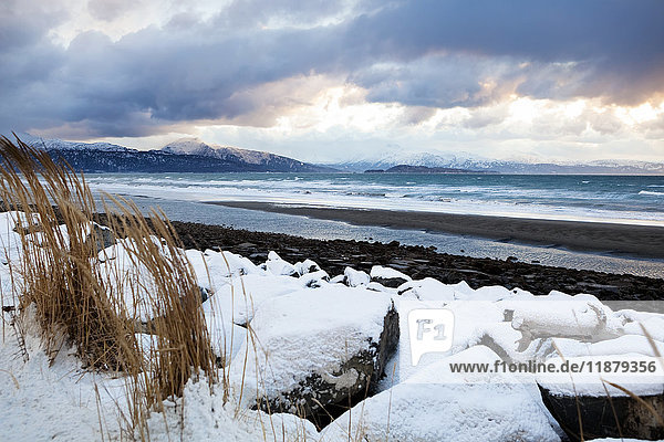 Schnee auf den Felsen und dem Gras entlang der Küste der Kachemak Bay; Alaska  Vereinigte Staaten von Amerika'.