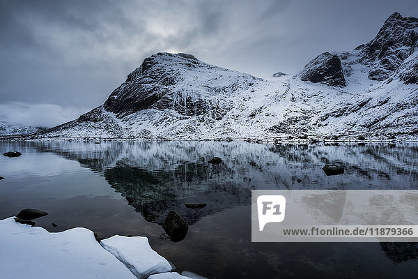 'Landscape of rugged  snow covered mountains reflected in tranquil ocean water; Lofoton Islands  Nordland  Norway'