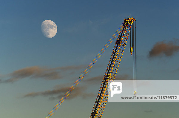 'A crane in the sky with a moon; Sunderland  Tyne and Wear  England'