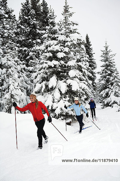 'Three young women cross country skiing  Ohlson Mountain; Alaska  United States of America'