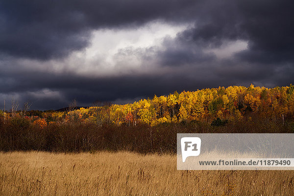 Sturmwolken und Sonne an einem Herbstnachmittag in Dunns Cove; Nova Scotia  Kanada .
