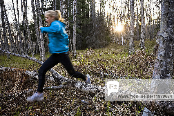 Eine junge Frau läuft über Baumstämme auf dem Waldboden in einem Wald; Homer  Alaska  Vereinigte Staaten von Amerika