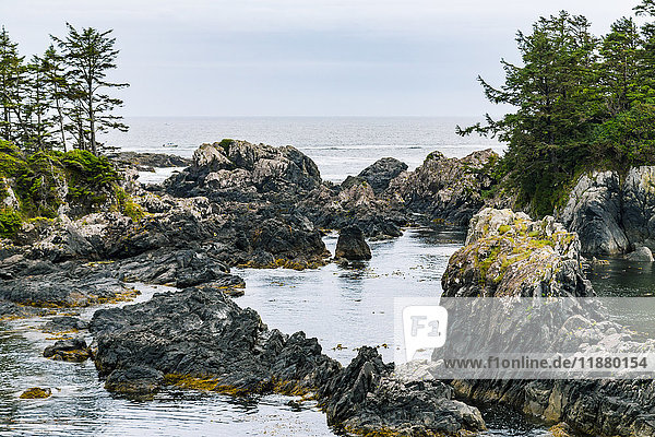 Der felsige Aussichtspunkt einer abgelegenen Meeresbucht an der zerklüfteten Westküste von Vancouver Island entlang des Leuchtturm-Wanderwegs; Ucluelet  British Columbia  Kanada'.