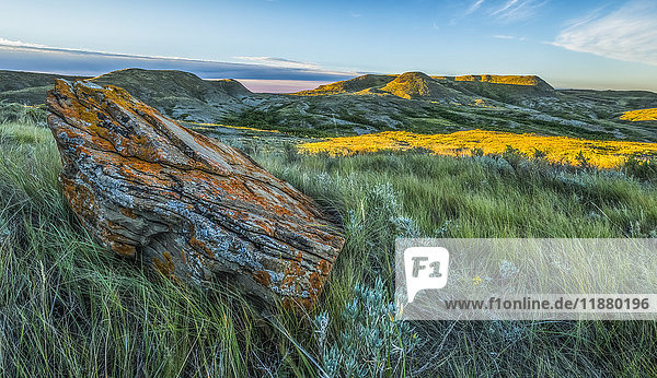 'A lichen covered rock with 70 Mile Butte in the distance Grasslands National Park; Saskatchewan Canada'