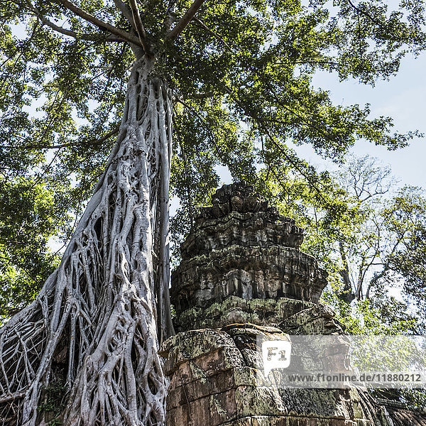 Ta Prohm Kel-Tempel  Archäologischer Park von Angkor; Krong Siem Reap  Provinz Siem Reap  Kambodscha