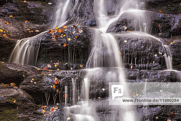 Herbstlich gefärbte Blätter und Wasserfall am MacInnis Brook  in der Nähe von West Gore; Nova Scotia  Kanada'.