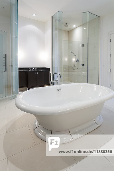 Ein modernes Badezimmer mit einer in der Mitte des Raumes schwebenden Wanne und Duschtüren aus Glas; Ontario  Kanada'.