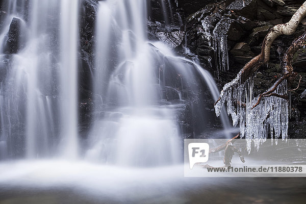 Wasserfall und Eiszapfen am Wood Brook im Spätherbst; Fall River  Nova Scotia  Kanada'.