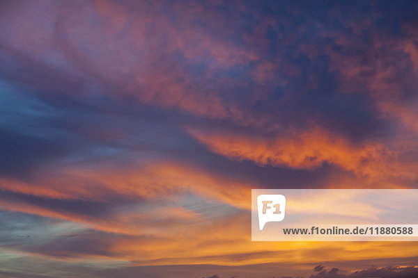 Dramatische  farbenprächtige Wolken  die bei Sonnenuntergang leuchten; Honolulu  Oahu  Hawaii  Vereinigte Staaten von Amerika'.