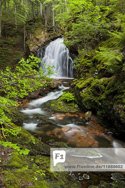 Wasserfall am Horse Pasture Brook  einem geschützten Wildnisgebiet; Wentworth Valley  Nova Scotia  Kanada .