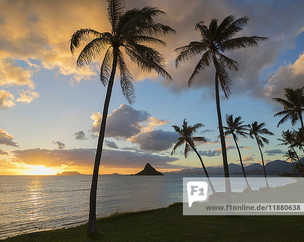 Sonnenaufgang am Kualoa Beach Park mit Blick auf Chinaman's Hat; Kaneohe  Oahu  Hawaii  Vereinigte Staaten von Amerika'.