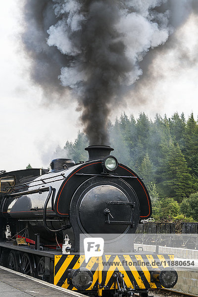 'Smoke billows from the engine of a train; North Yorkshire  England'