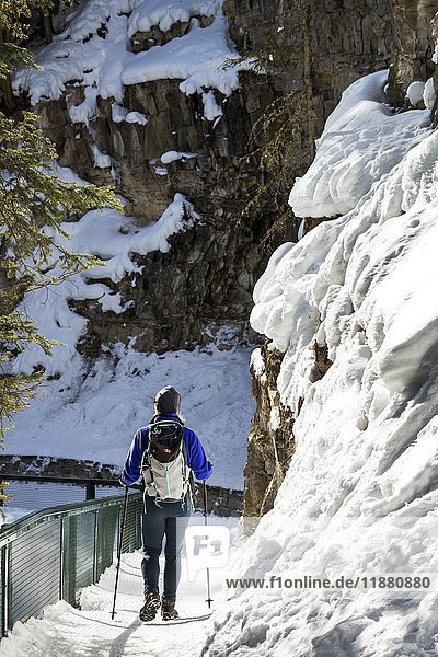 'Female hiker on snow covered trail along snow covered rock cliff and fencing  Johnson Canyon; Alberta  Canada '