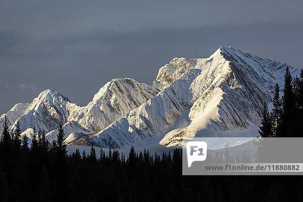 Schneebedeckte Berge im frühen Morgenlicht  Waldsilhouetten im Vordergrund  blauer Himmel und Wolken; Kananaskis Country  Alberta  Kanada'.