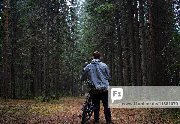 Rear view of male mountain biker looking out at forest