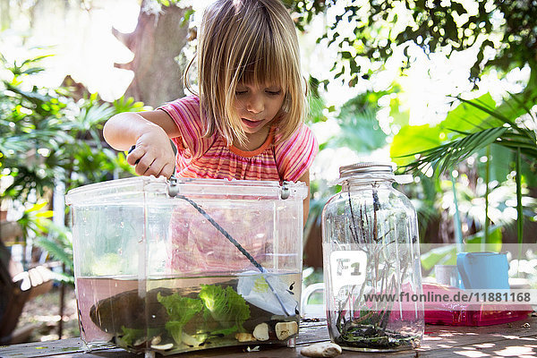 Mädchen schöpft Fischernetz in Plastikquappe im Teich auf Gartentisch