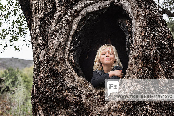 Portrait of young boy  sitting in hollow of tree  smiling