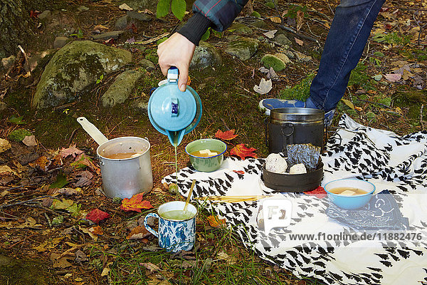 Frau gießt Tee ein  steht neben japanischem Essen im Wald  niedriger Abschnitt  Colgate Lake Wild Forest  Catskill Park  Bundesstaat New York  USA
