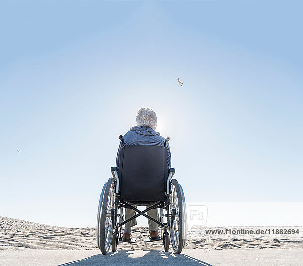Rückansicht eines älteren Mannes im Rollstuhl mit Blick auf den Strand  Playa del Ray  Kalifornien  USA