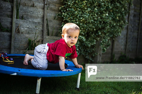 Baby boy crawling on trampoline