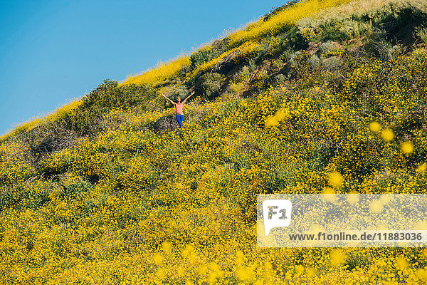 Junge Frau am Hang stehend  umgeben von Wildblumen  Arme ausgestreckt