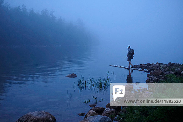 Männlicher Wanderer am nebligen Fluss  Acadia  Maine  USA