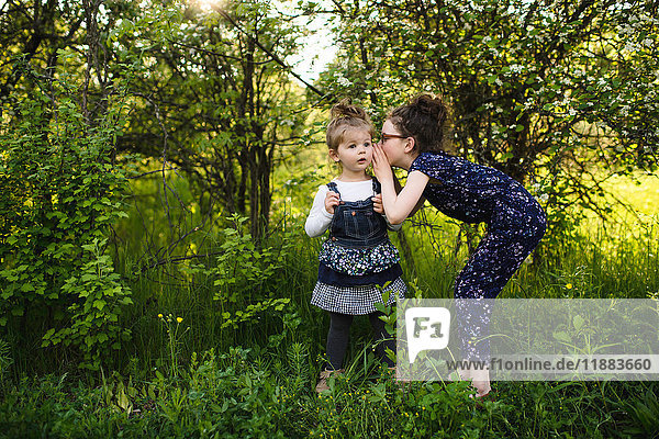 Mädchen flüstert der kleinen Schwester im Feld mit Bäumen zu