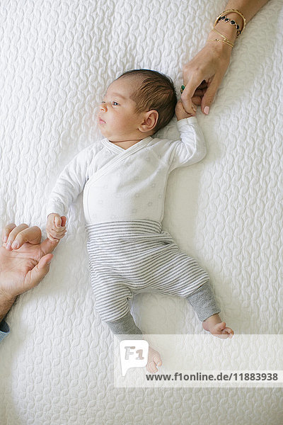 Baby boy lying on bed  mother and father holding baby's hands  overhead view