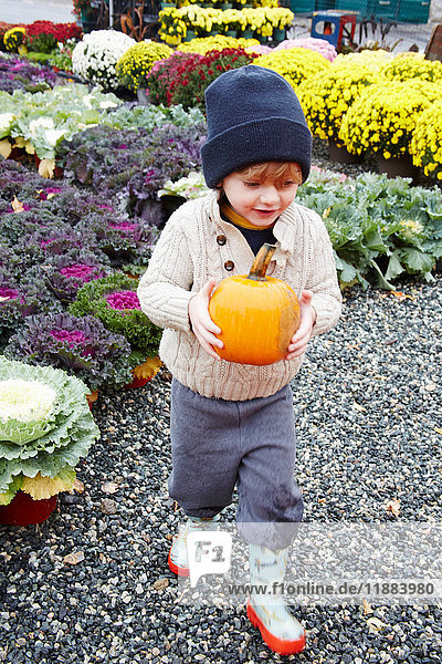 Boy carrying pumpkin in garden centre