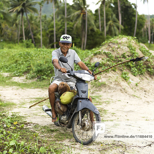 Ein thailändischer Mann trägt Kokosnüsse auf seinem Motorrad; Ko Samui  Chang Wat Surat Thani  Thailand'.