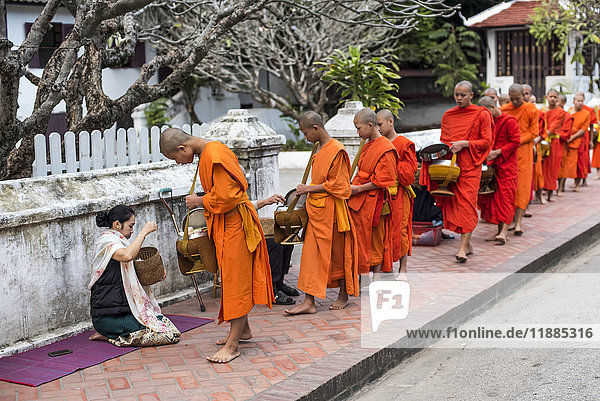 Junge Mönche gehen die Straße entlang und sammeln Almosen; Luang Prabang  Provinz Luang Prabang  Laos'.