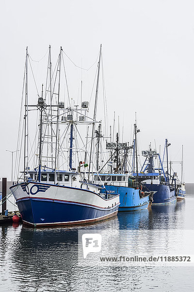Kommerzielle Fischerboote legen am East Boat Mooring Basin an; Astoria  Oregon  Vereinigte Staaten von Amerika'.