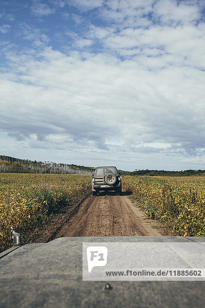 Off-road vehicle moving on dirt road amidst plants in field against sky  Svobodniy  Amur  Russia