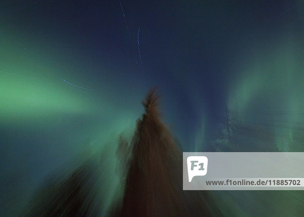 Idyllischer Blick auf Aurora Borealis über Bäume bei Nacht  Kiruna  Schweden