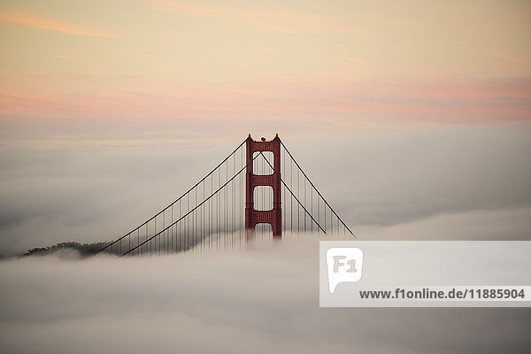 Golden Gate Bridge surrounded by fog during sunset  San Francisco  California  USA