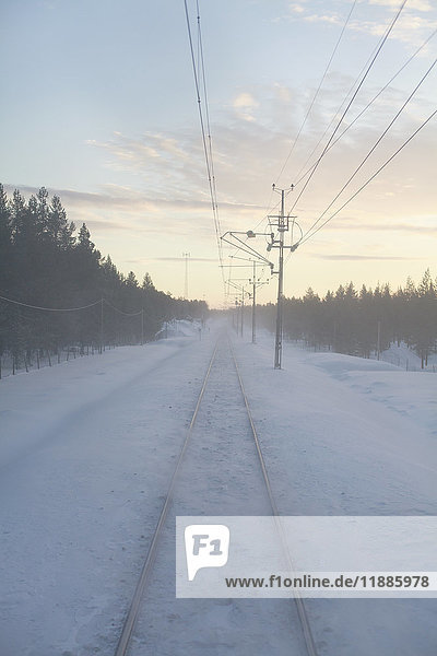 Schneebedeckte Eisenbahnstrecke mit Strommasten inmitten von Bäumen bei Sonnenuntergang  Kiruna  Schweden
