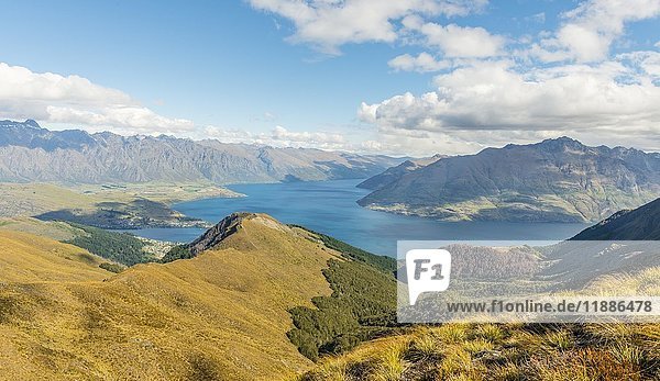 View of Lake Wakatipu and Mountain Range The Remarkables  Forest and Mountains  Ben Lomond  Southern Alps  Otago  South Island  New Zealand  Oceania