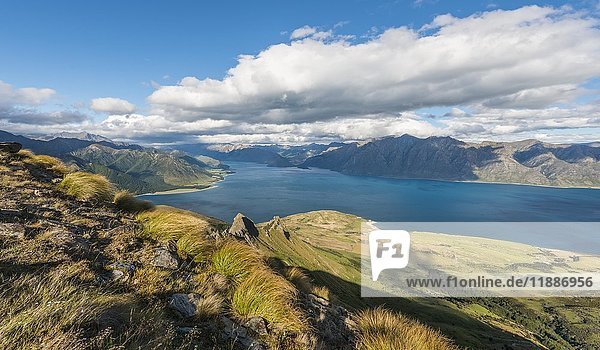 View of lake in mountain landscape  rugged landscape  Lake Hawea  Otago  South Island  New Zealand  Oceania